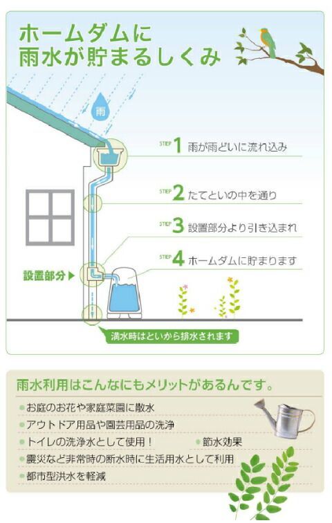 家庭菜園