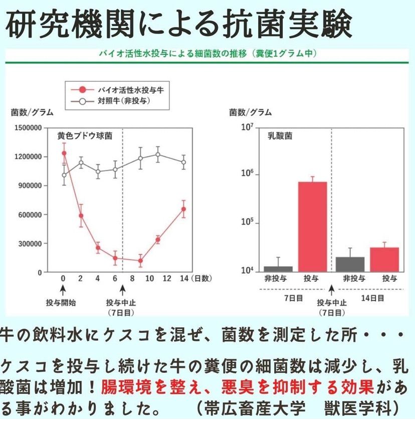 KESCO (ケスコ) 消臭剤 ケスコビーズ 詰め替え 700g 2個セット メルカリ