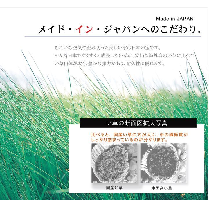 191×191cm い草カーペット カーペット Fナール 国産 い草ラグ マット 4001 MARWIL-DEMENAGEMENTS_CH