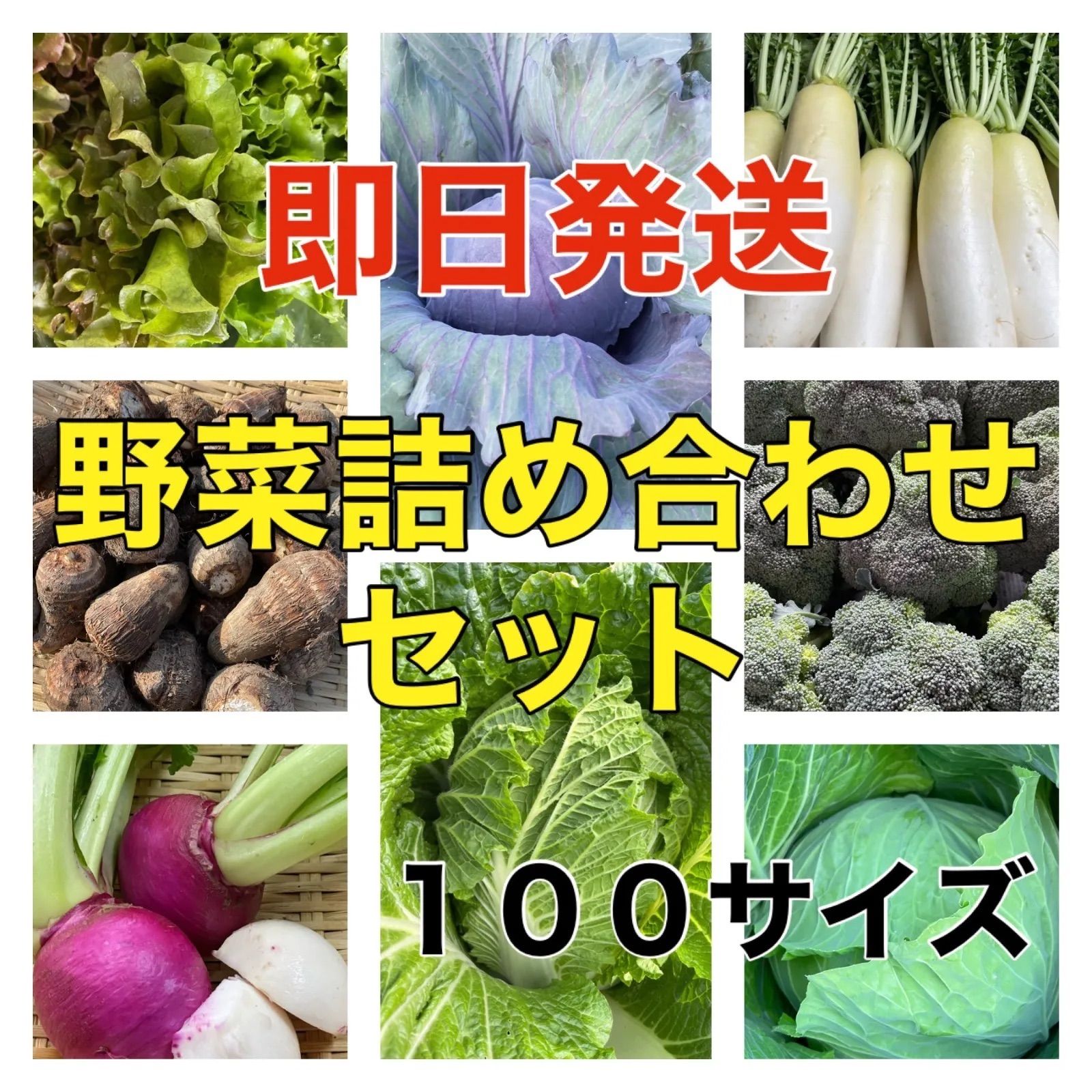 たっぷり10０サイズ‼️８種類‼️野菜詰め合わせセット‼️木曜日発送分