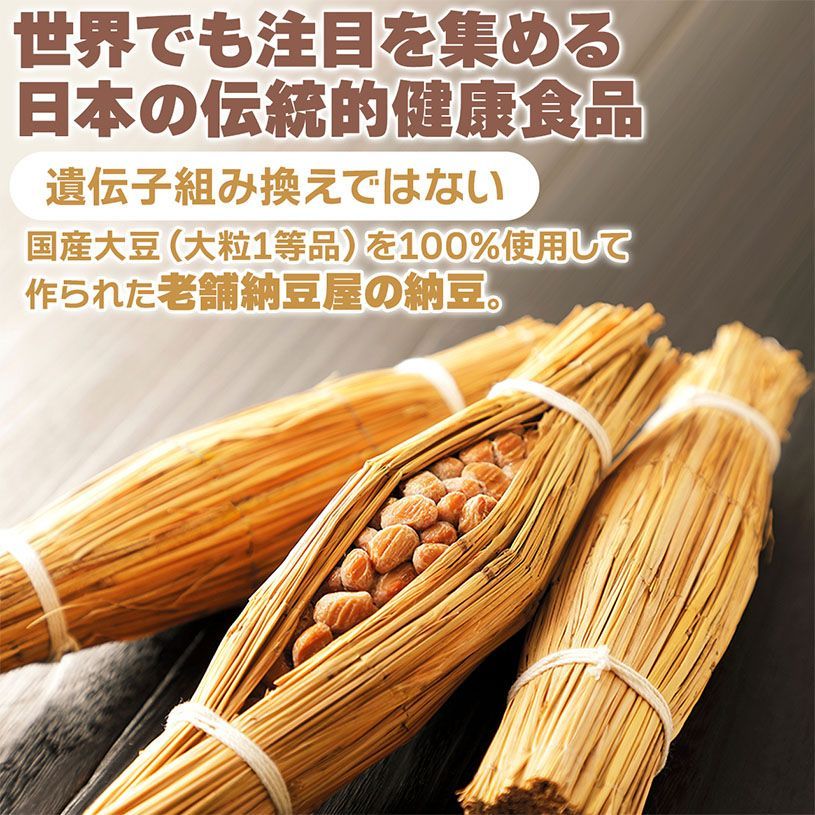 【NICHIGA／ニチガ公式】ドライなっとう ＜しょう油味＞ 110g 国産大豆100％使用 DRY NATTO 健康おやつ おつまみ [05]