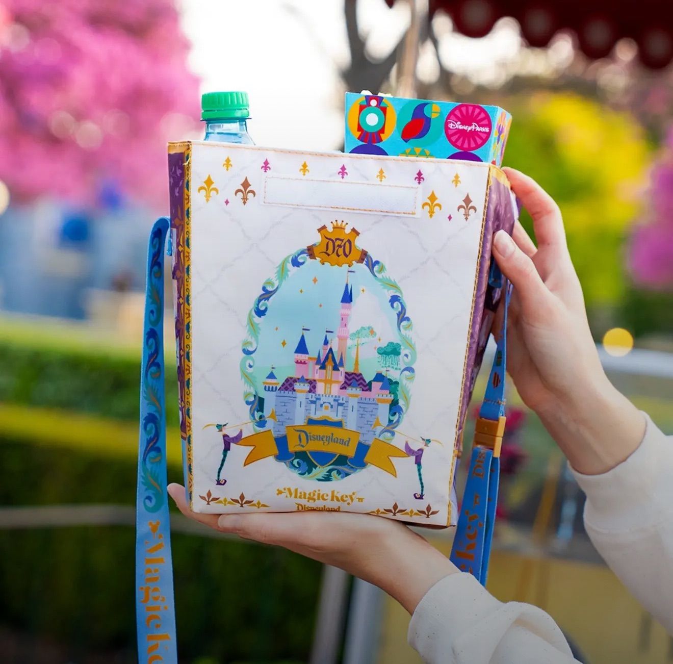 カリフォルニアディズニー70周年 MagicKey会員限定