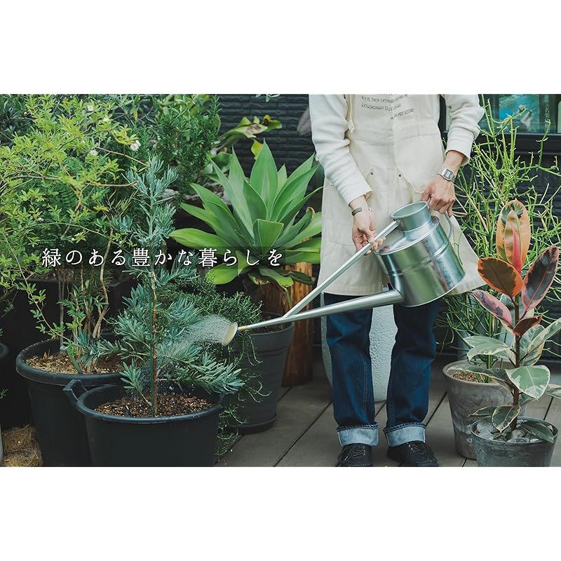 8リットル 盆栽