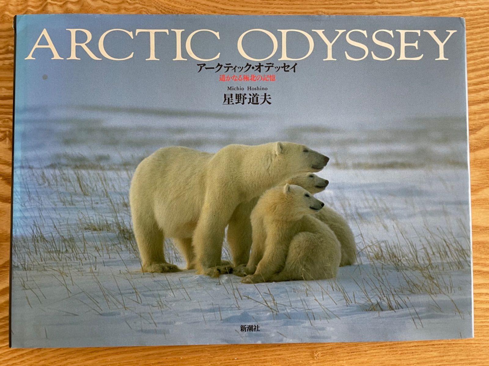 アークティック・オデッセイ　ARCTIC ODYSSEY 星野道夫