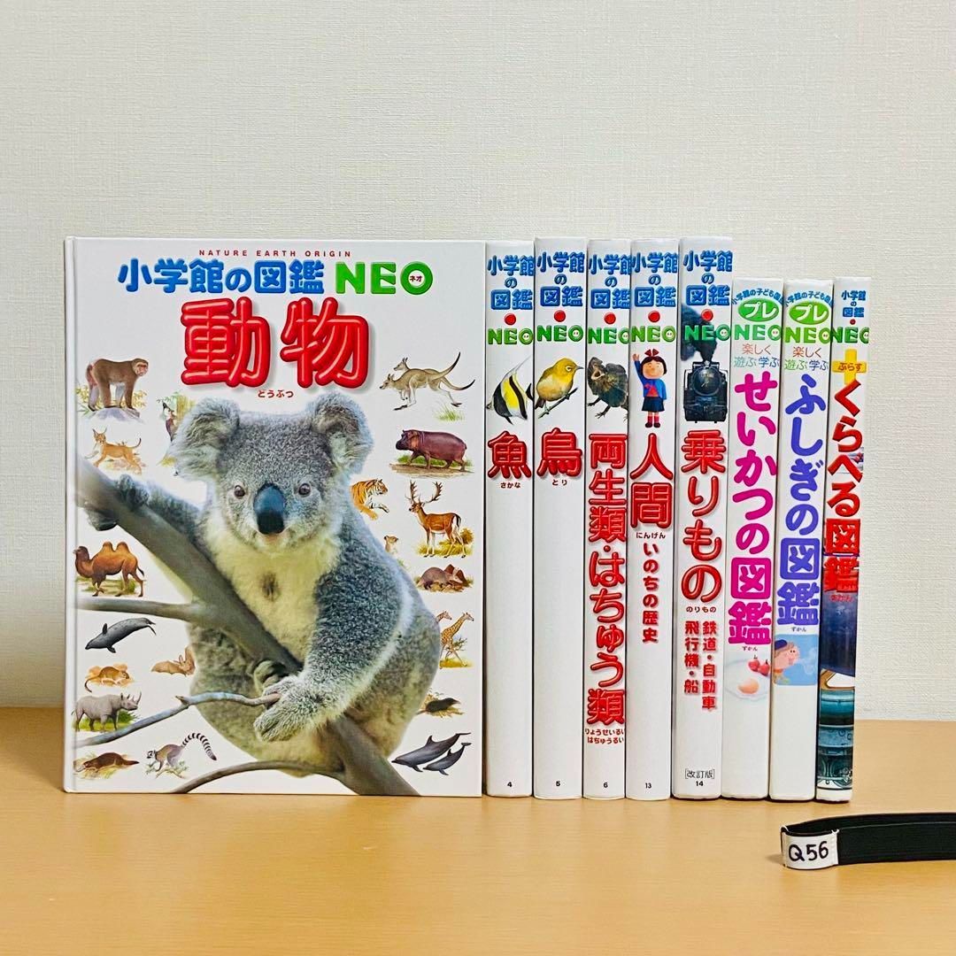 Q56【9冊】小学館の図鑑NEO 動物鳥魚プレ絵本 セット まとめ売り