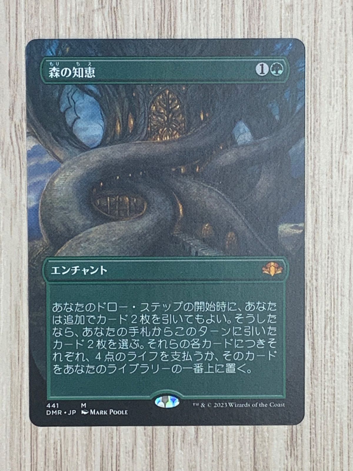 MTG　サージfoil英語　灼陽大峡谷　ドクターフー　WHO Amazon.co.jp: 【サージ・FOIL】マジックザギャザリング WHO JP