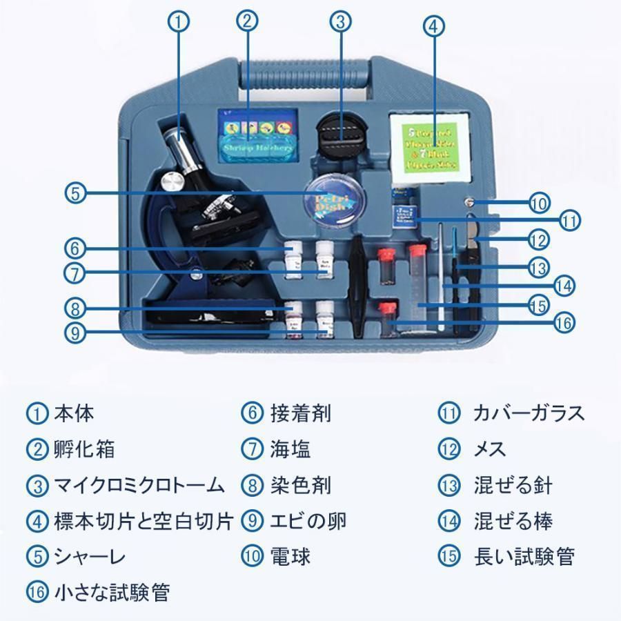 小学生