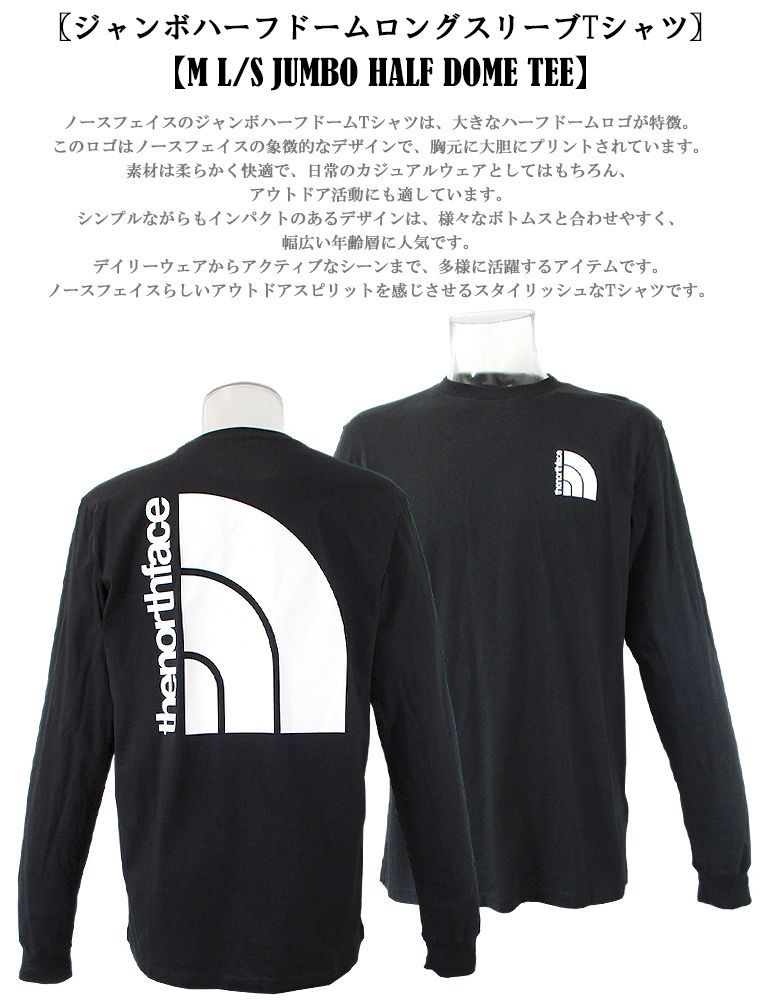 THE NORTH FACE ロングTシャツ 海外限定 ロンティー メンズ THE NORTH FACE ロングTシャツ 海外限定 ロンティー メンズ
