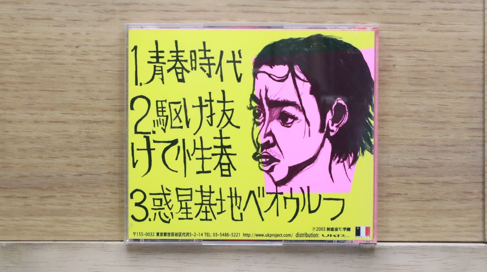 【未使用ポスター】GOING STEADY／青春時代 NC03ODI4LnBuZw.jpeg