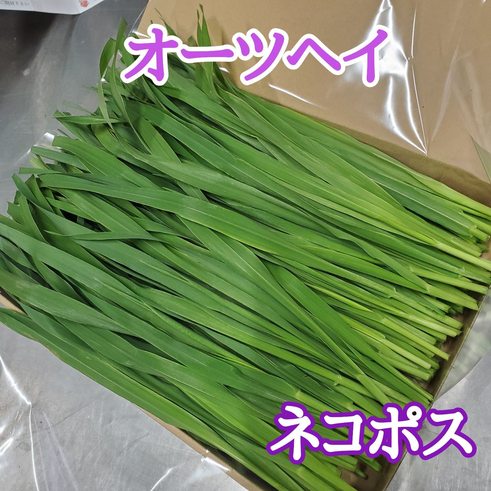 生牧草新麦若葉 - その他