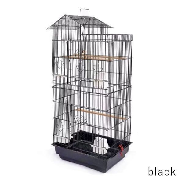 バードケージ 複数飼い