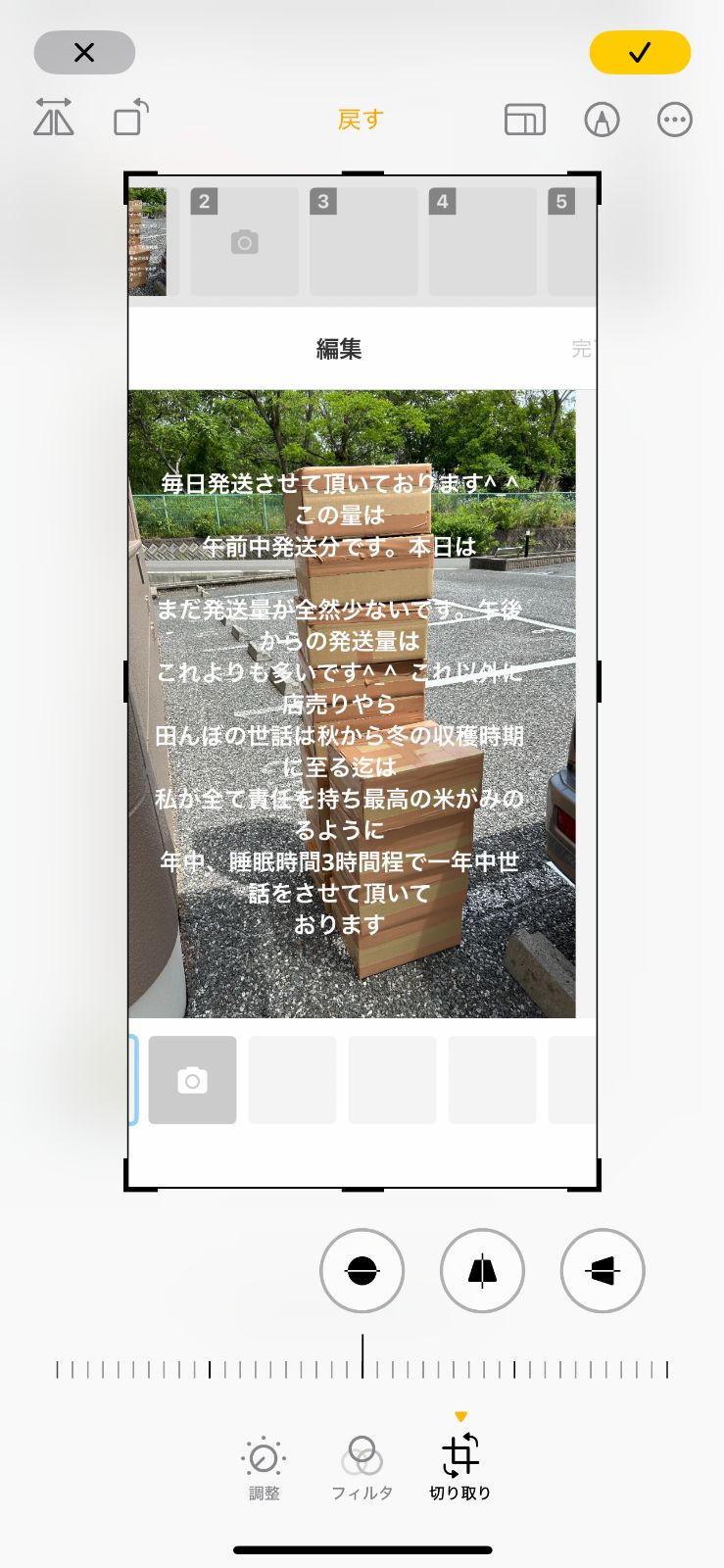岐阜ブランド米　令和６年度『岐阜ハツシモ』新米　(玄米)15キロ お米 ラストk 30hatu30.jpg