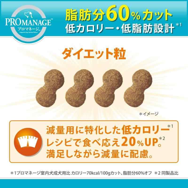 チキン