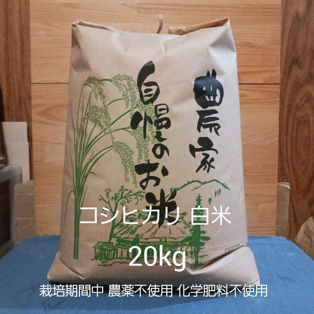 令和7年産 白米 コシヒカリ 20kg 農薬不使用 化学肥料不使用 れんげ米