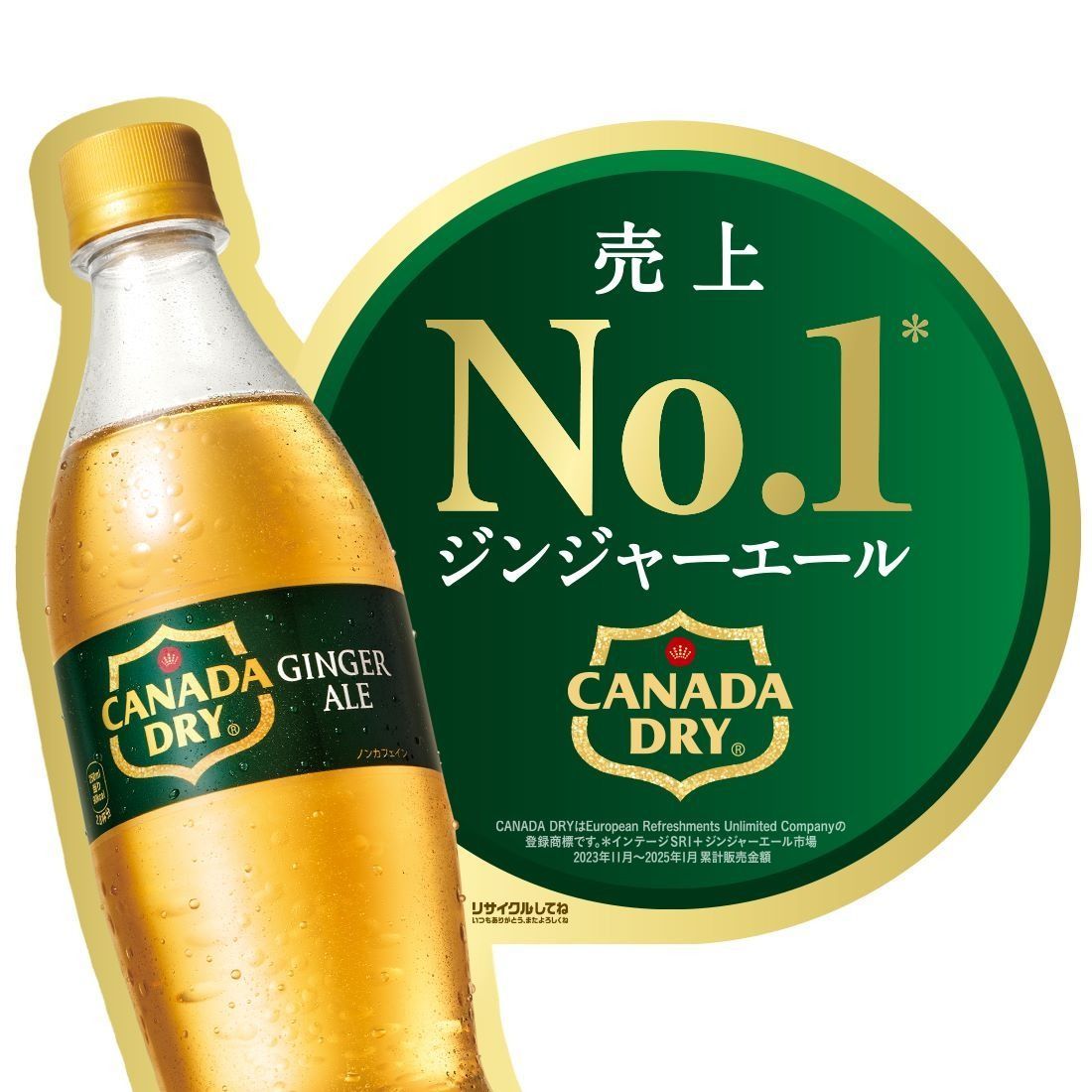 コカコーラ カナダドライ ジンジャーエール 1500ml 1.5L×1ケース