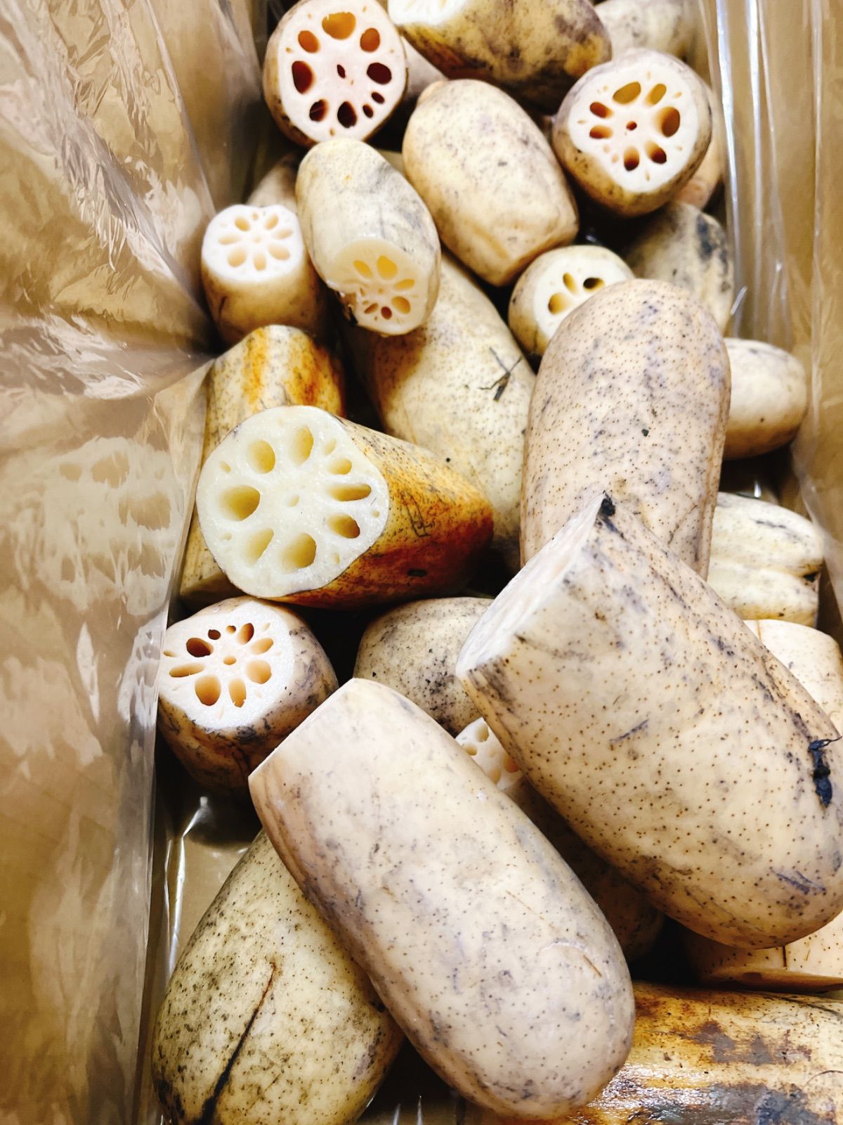 【れんこんの王様】加賀れんこん規格外　10kg