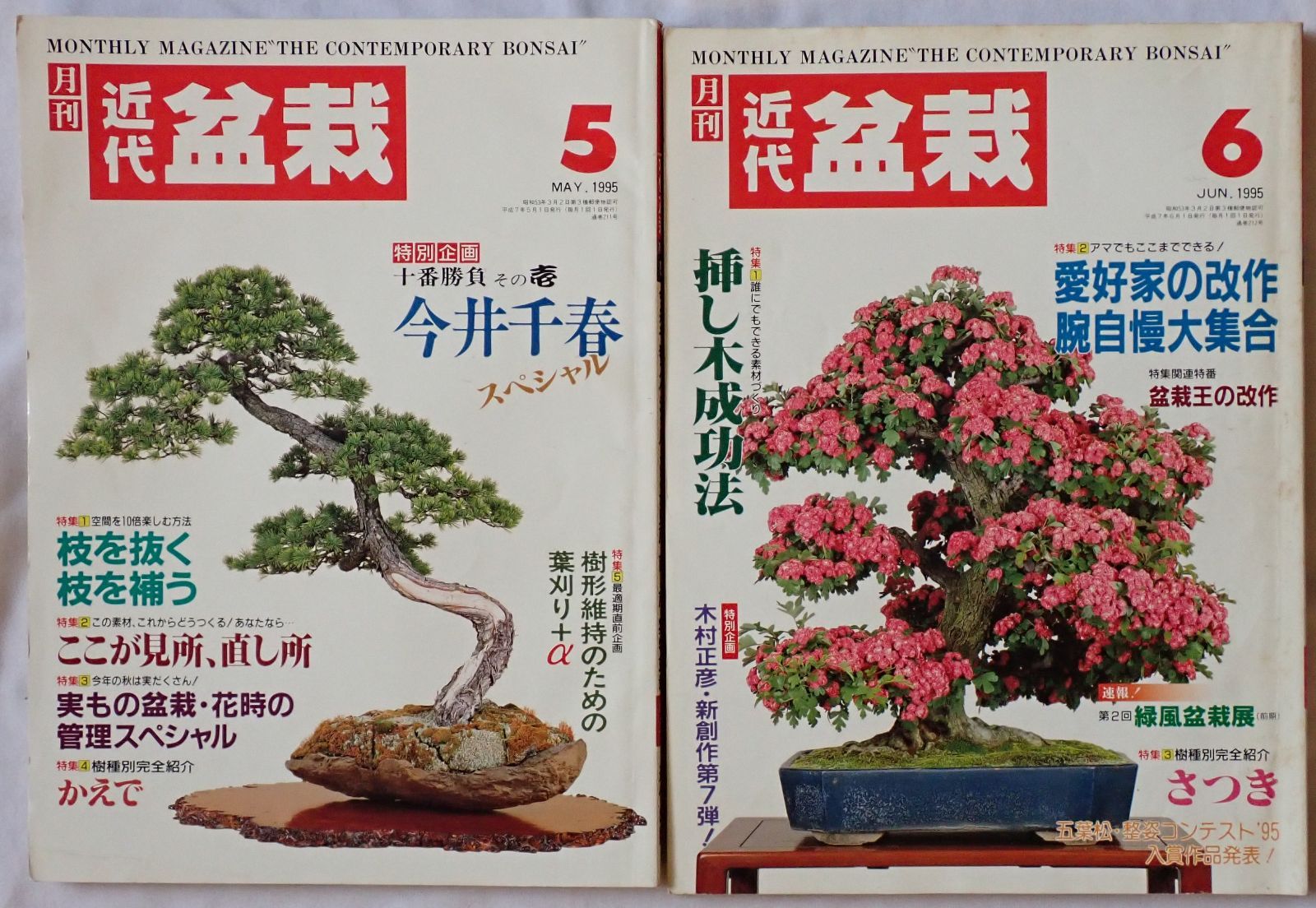盆栽技術体系　4冊セット 楽天市場】栽培キット 栽培セット The BONSAI GD-992 【聖新陶芸