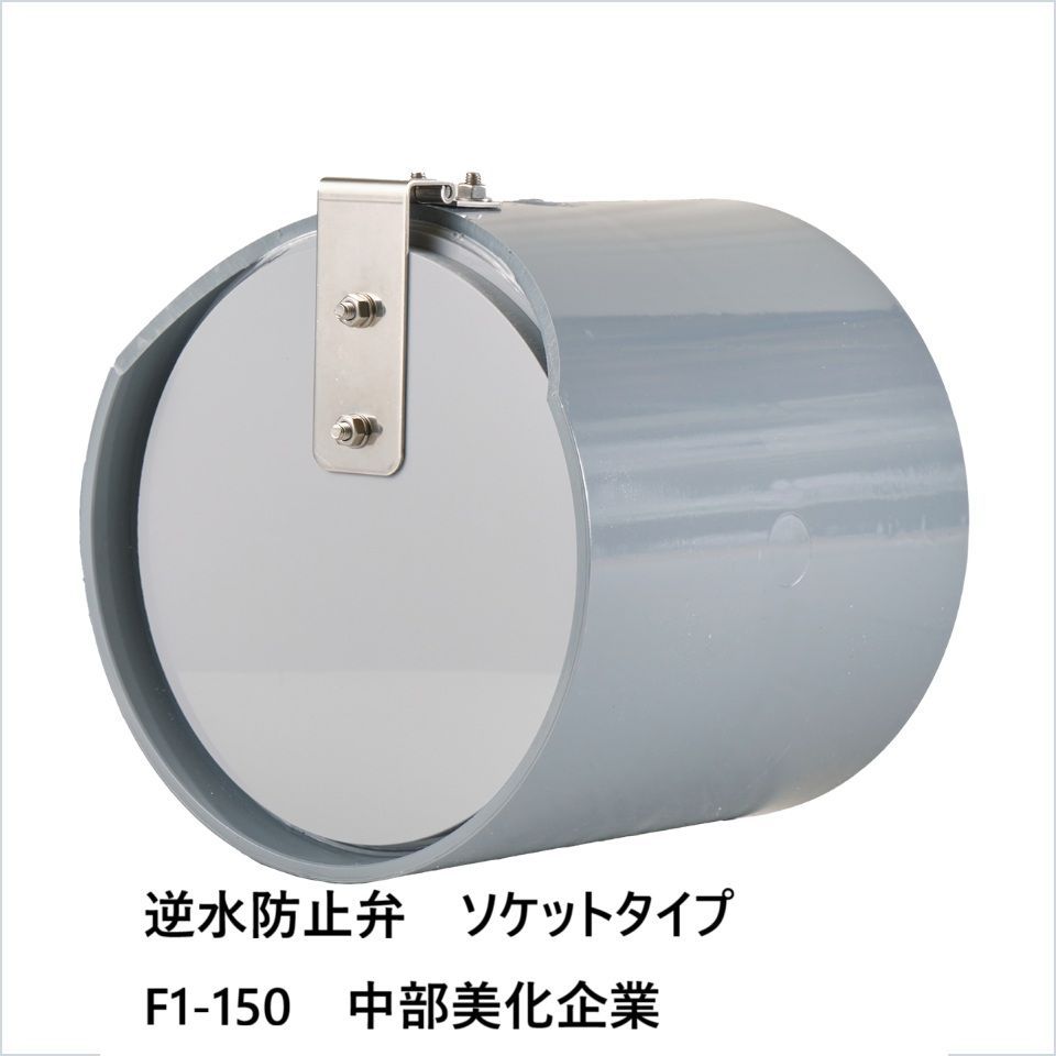 逆水防止弁 ソケットタイプ F1-150 中部美化企業