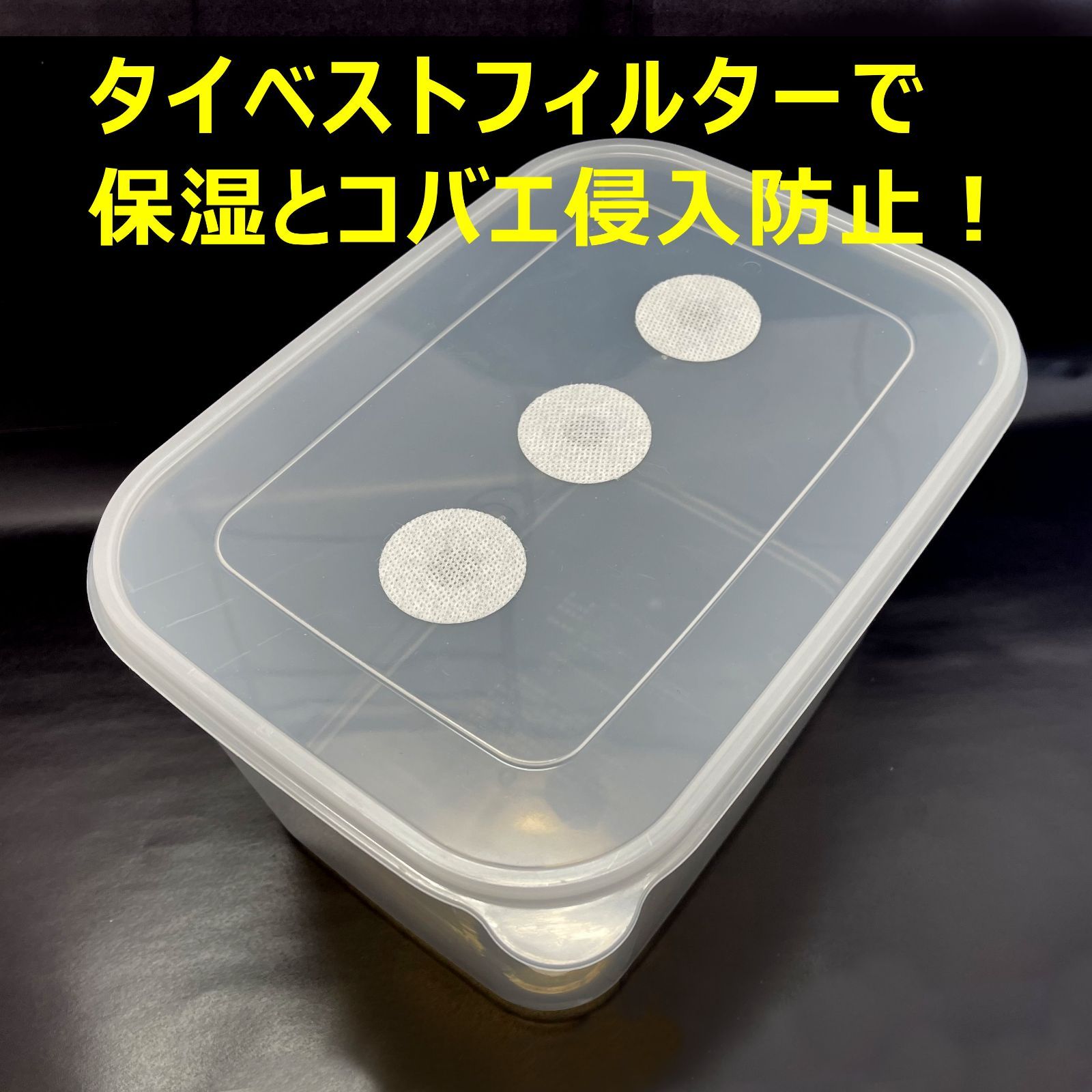 幼虫飼育に最適 人工蛹室の管理