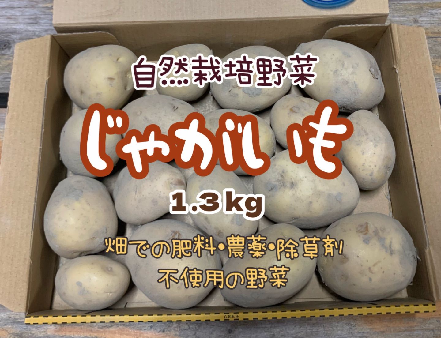 自然栽培のじゃがいも☆肥料・農薬・除草剤不使用の野菜☆1.3kg 