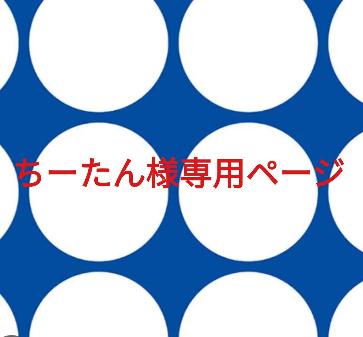 ちーたん様専用ページです。