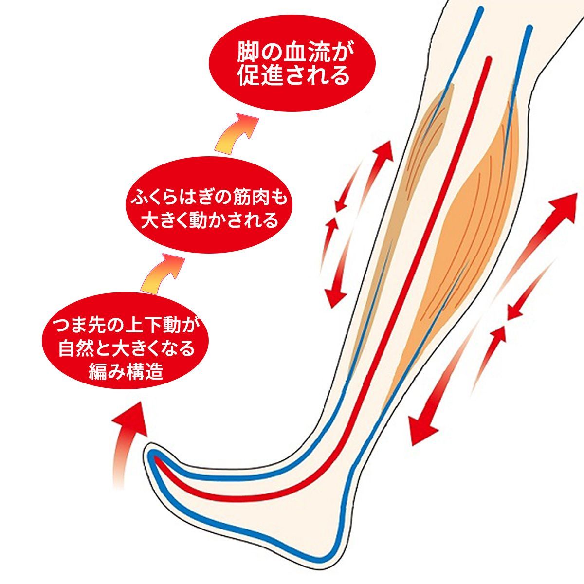 むくみ対策靴下 医療用 【ベージュ】立ち仕事 蘭華 弾性ストッキング 安眠 夜間頻尿 血行促進 頻尿‐一般医療機器 日本製 靴下 くつ下 ソックス  締め付けない 医療用 リンパの流れ促進 加圧ソックス 着圧靴下 着圧ソックス コーポレーションパールスター - メルカリ