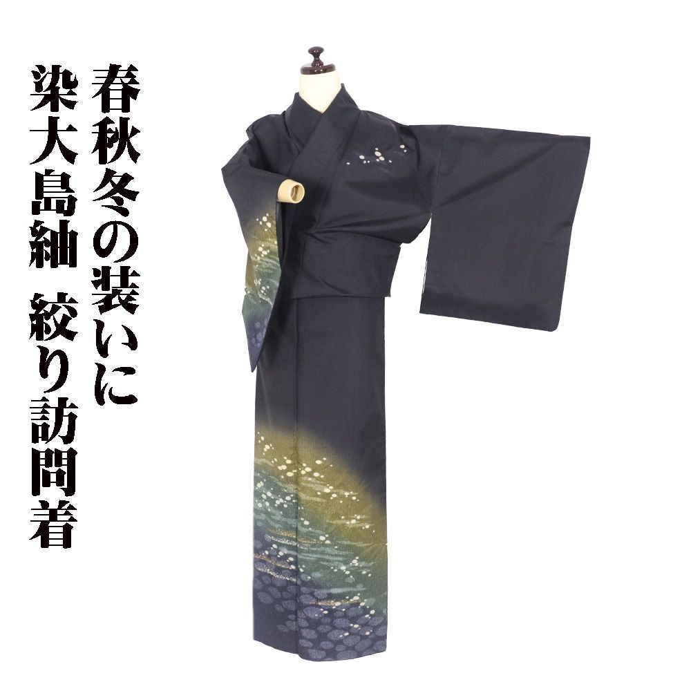 高口邦彦氏作 染大島紬 絞り訪問着 袷 正絹 墨黒 金茶 緑 紫 暈し 絞り