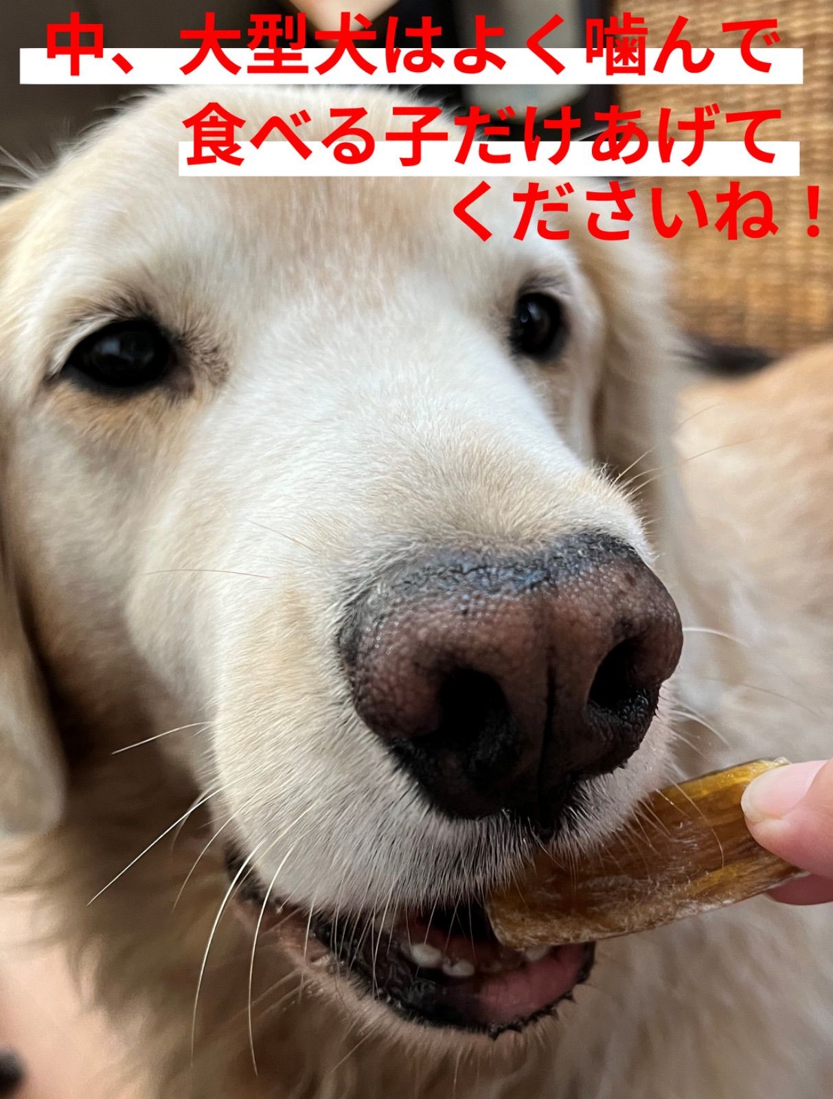 犬の無添加おやつ 国産馬あばら軟骨150ｇ - ペットフード