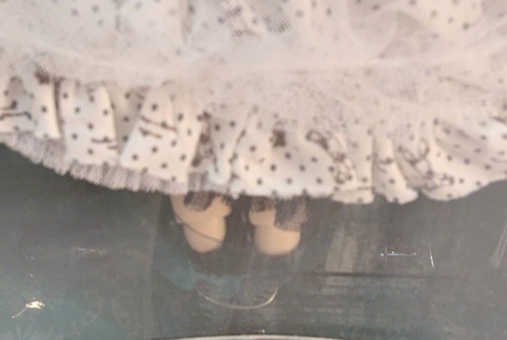 プリュネラ
