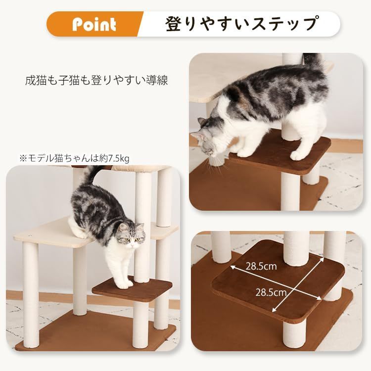 大型猫 安定感