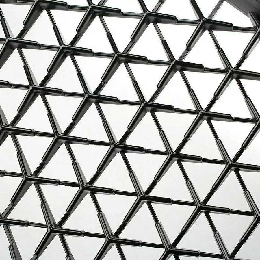 ブラックタイプ