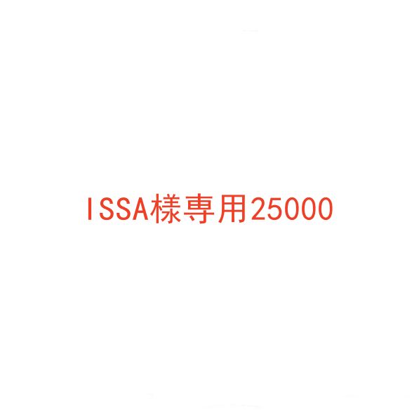 ISSA25000