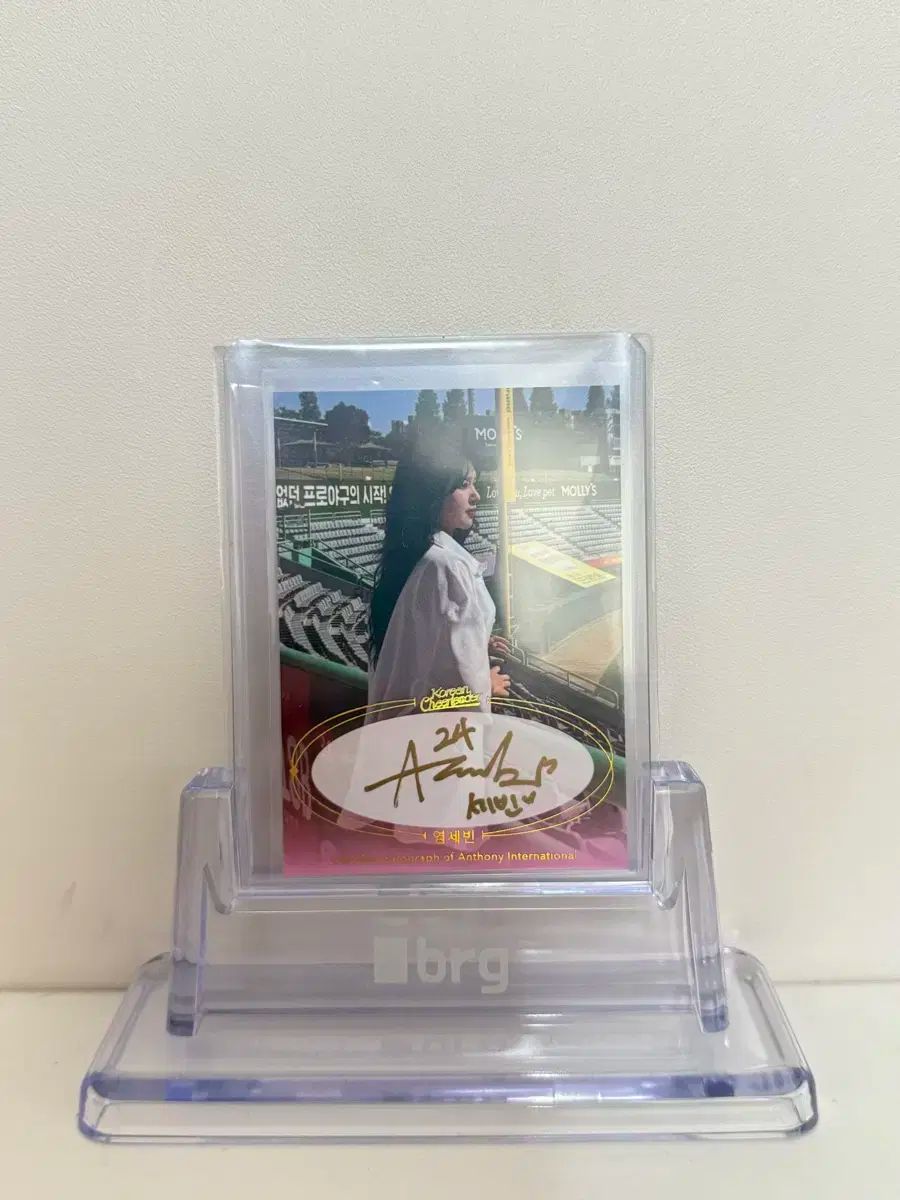 염세빈 チアリーダー マフィオート