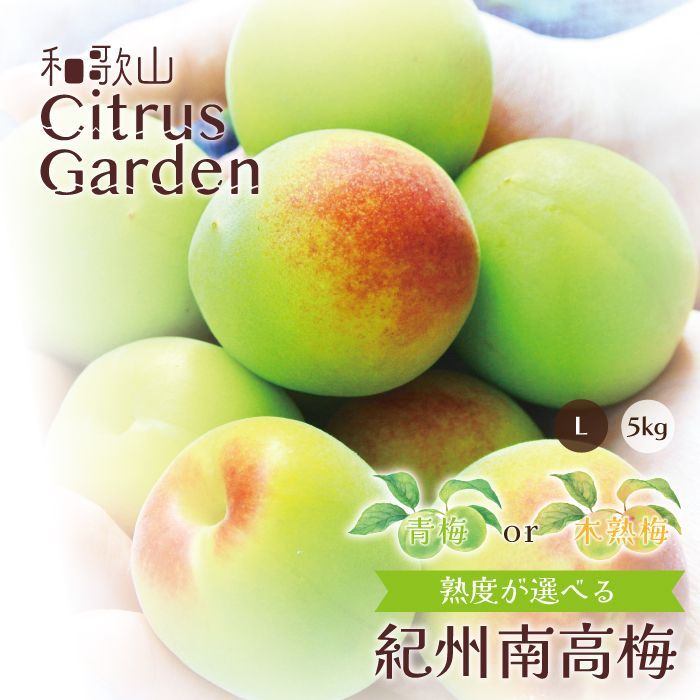楽天市場】”紀州・和歌山産 南高梅 青梅” 秀品 4L 約5kg【予約 5