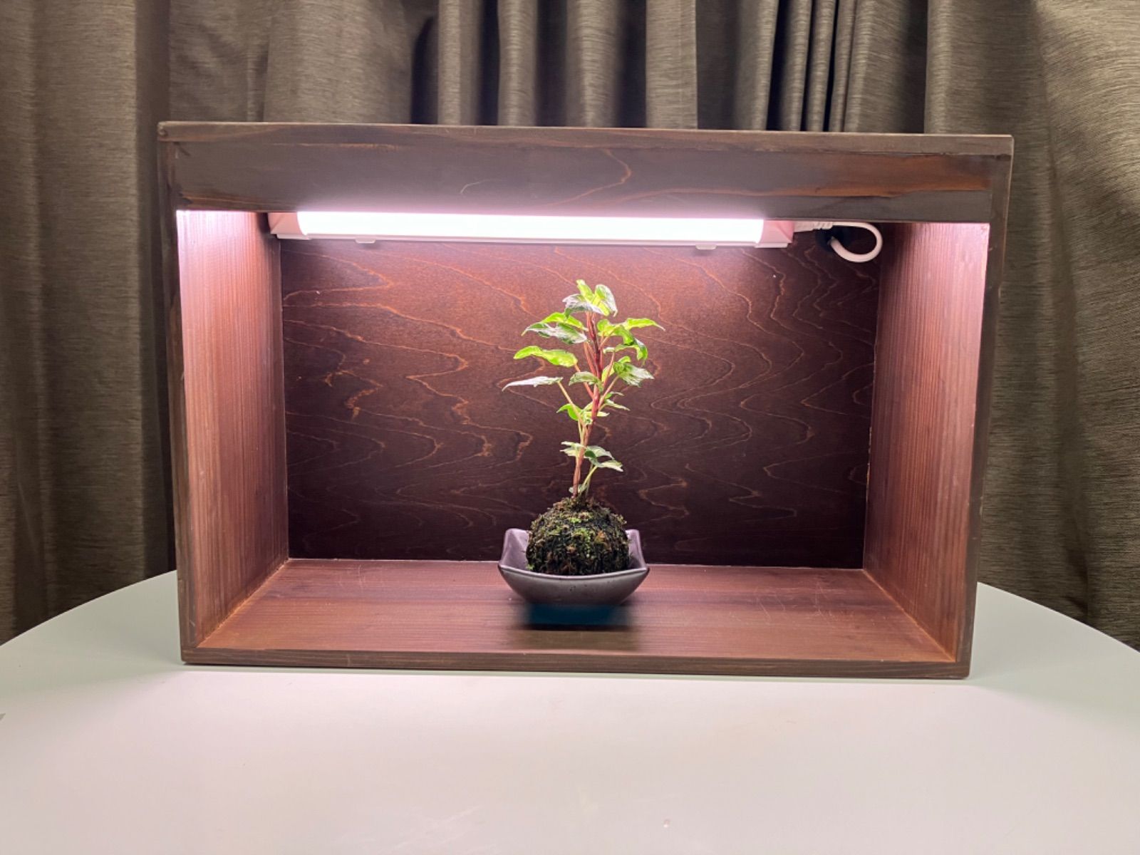 天然大木の根の台座 送料無料 木の根 飾り台 W75cm 希少 花台 盆栽卓