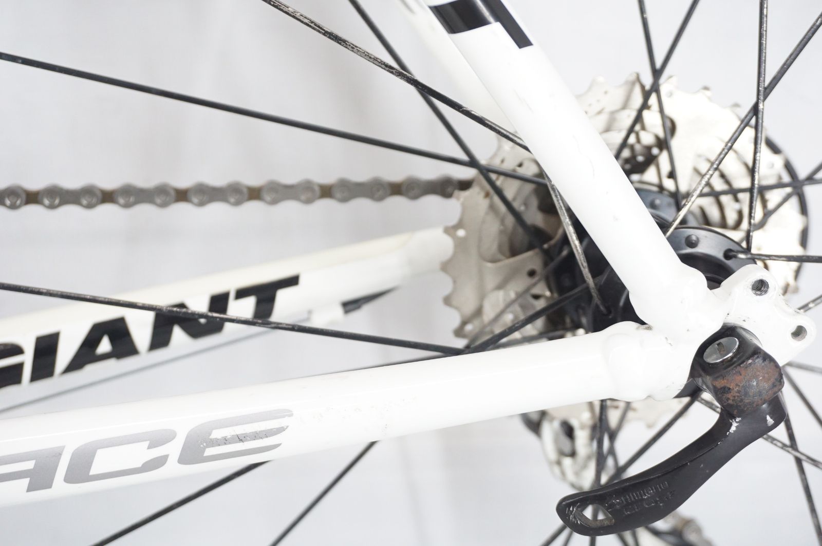 GIANT ジャイアント　PACE ジャイアント GIANT P-A2 DISC アルミ チューブレスレディ ホイール