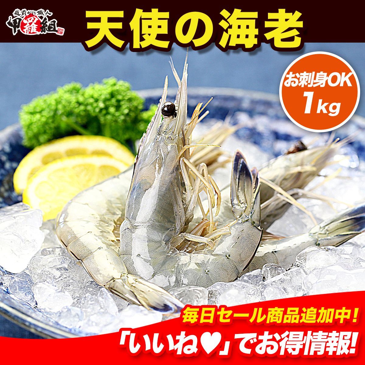 食品 【甲羅組】高級クルマエビを超えた！？天使の海老1kg（30～40尾入）