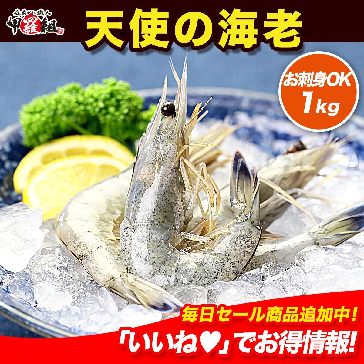 【甲羅組】高級クルマエビを超えた！？天使の海老1kg（21～30尾入り） えび 刺身 エビフライ カルパッチョ パスタ お中元 ギフト 贈り物 贈答