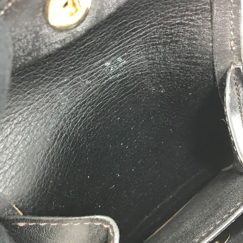 ワイルドスワンズ