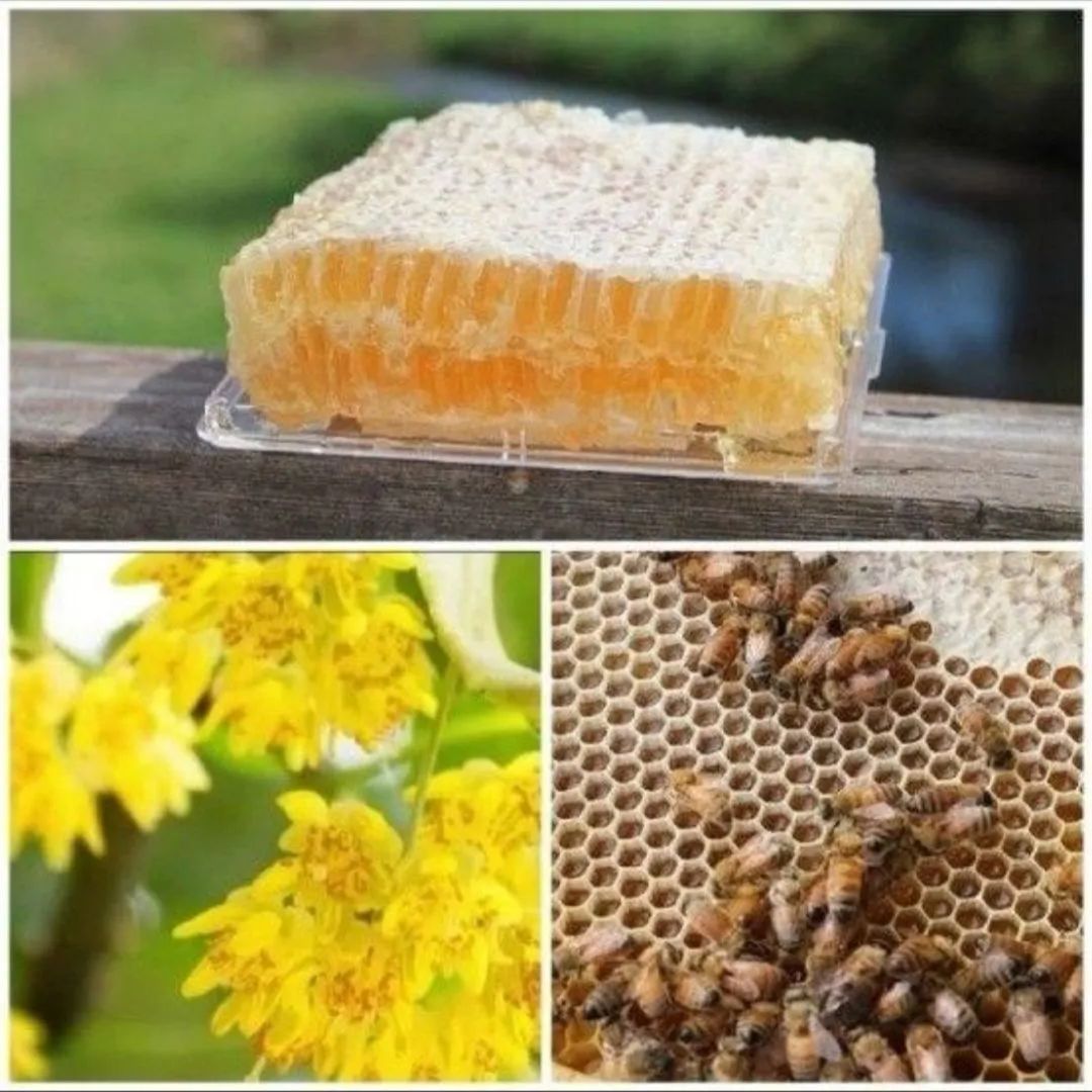 350g生オーガニックリンデン巣蜜、450g生オーガニックラベンダーハニー 350g巣蜜リンデン蜂の巣生オーガニックコム、生生オーガニック
