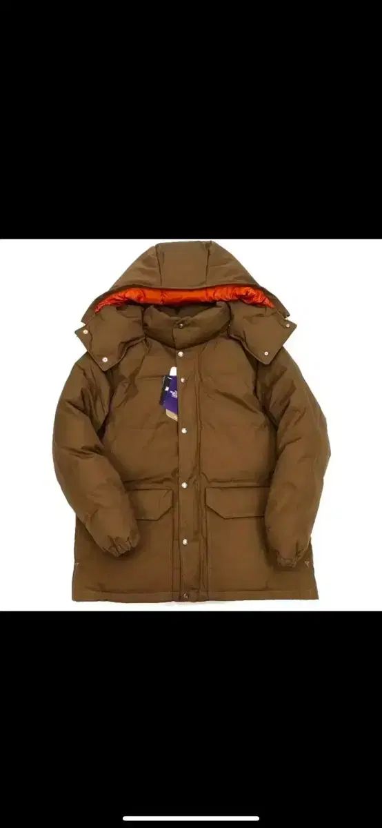 THE NORTH FACE(ザノースフェイス) パープルレーベル シエラダウンパーカー L