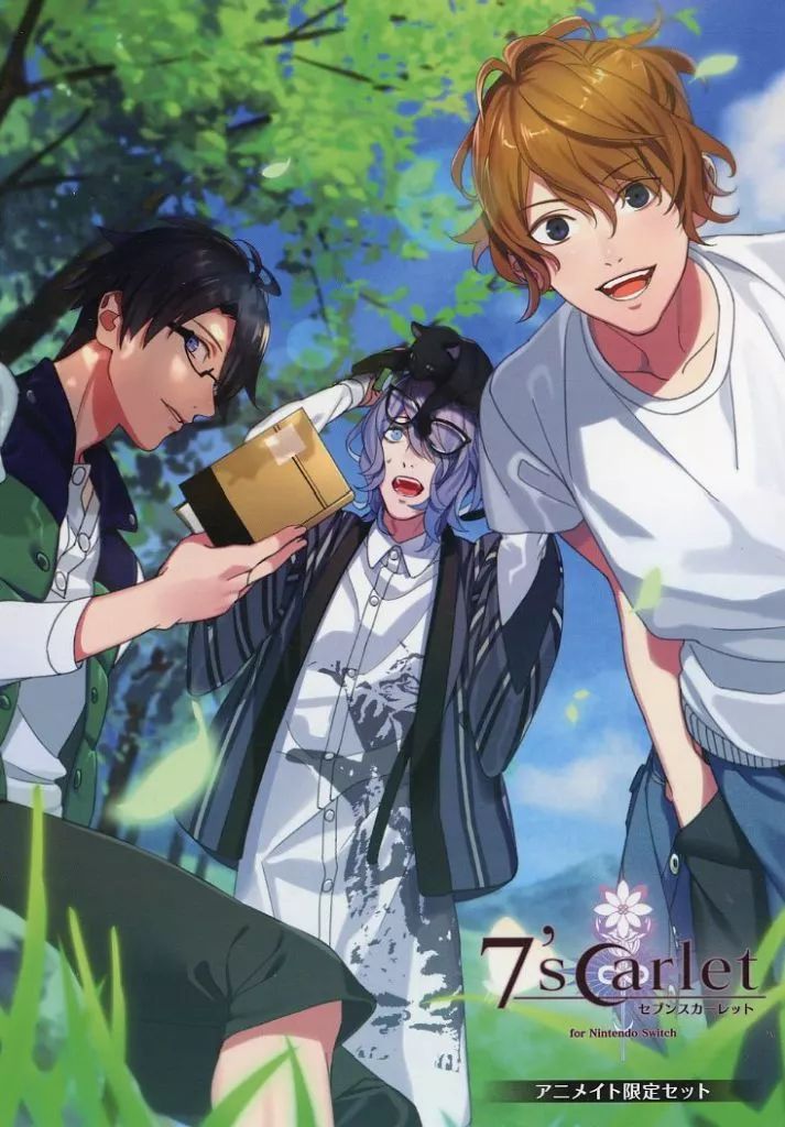 ジャンク】Panasonic LUMIX DMC-FX7 2台 〇 / ジャンク パナソニック