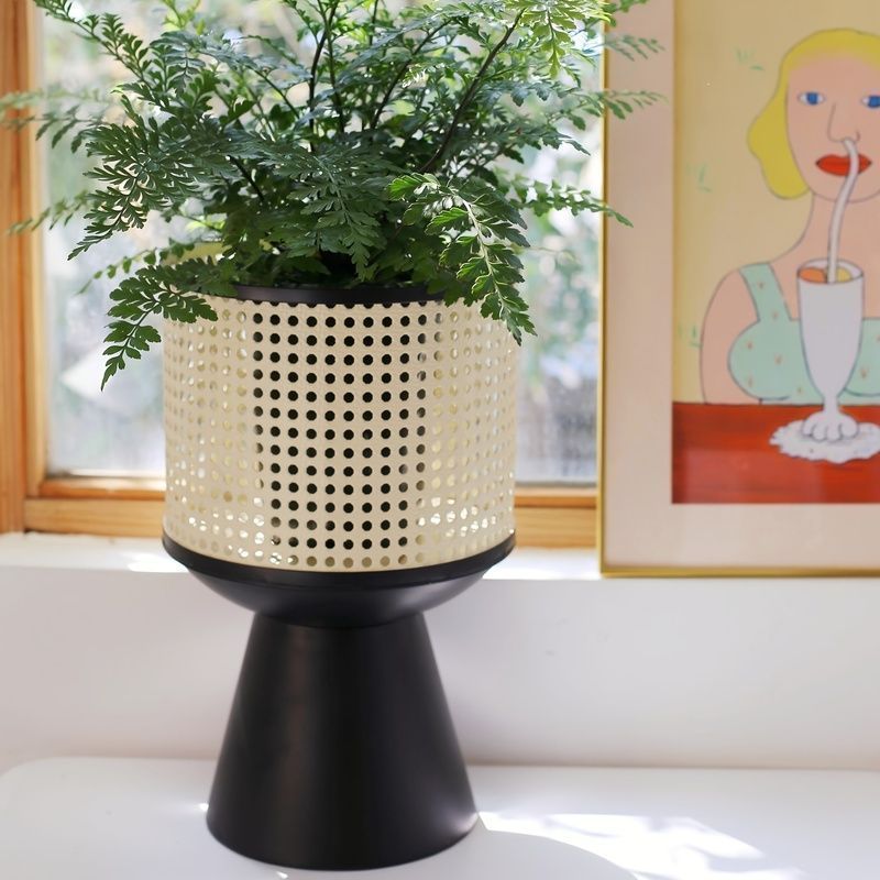 植木鉢