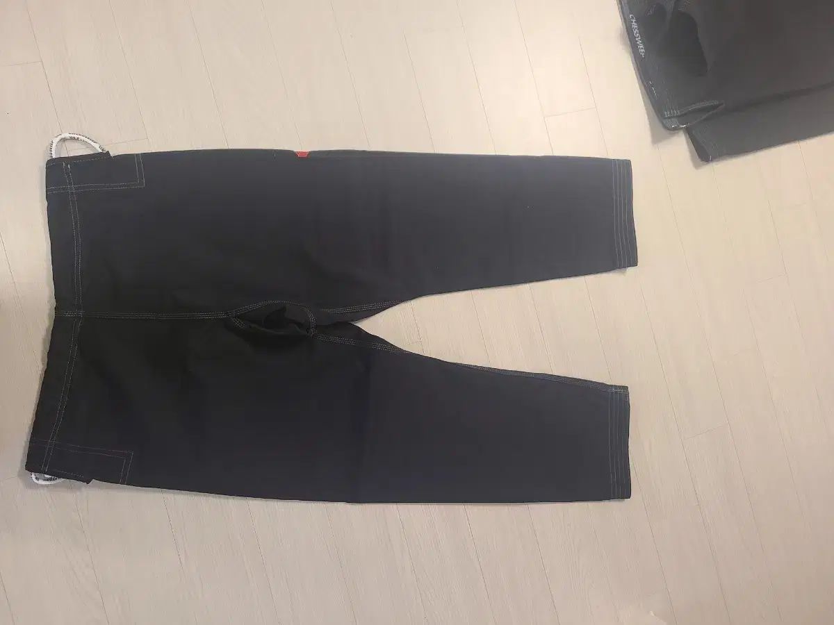 チェススイープ 柔術