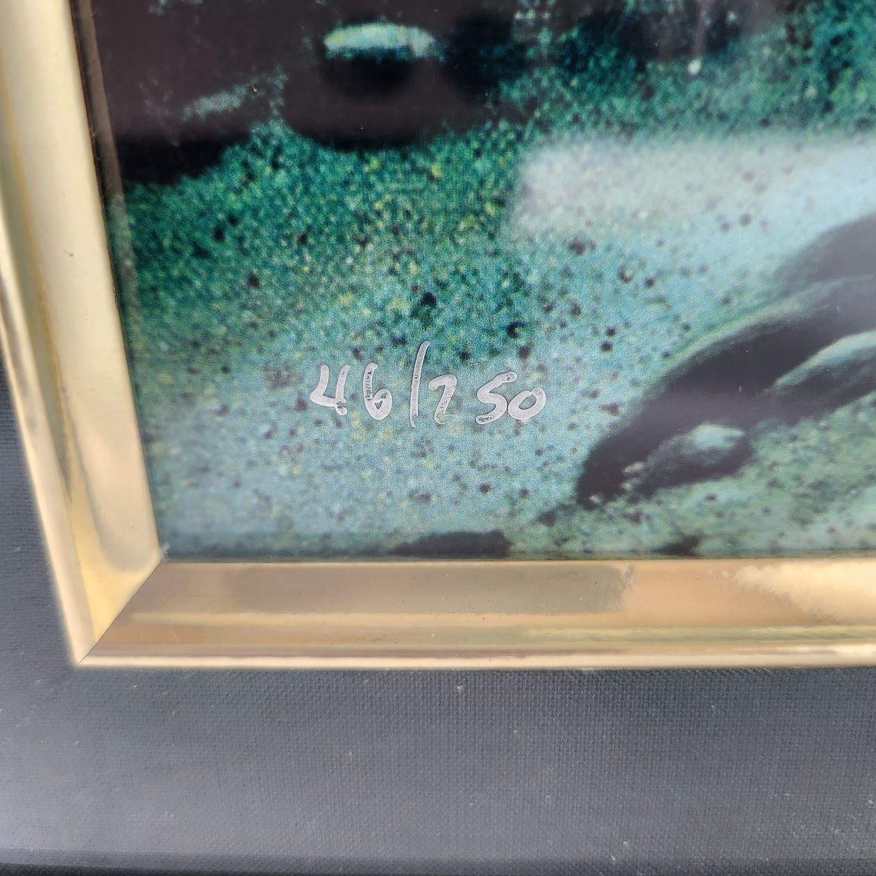 ワイランド/Robert Wyland チルドレンオブザシー 46/250 - メルカリ