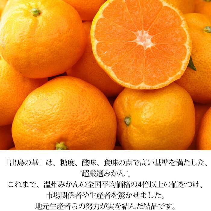 ◉最高級みかん◉🍊平均糖度14度以上「出島の華」ぜひ、商品説明 ◉最高級みかん◉🍊平均糖度14度以上「出島の華」ぜひ、商品説明