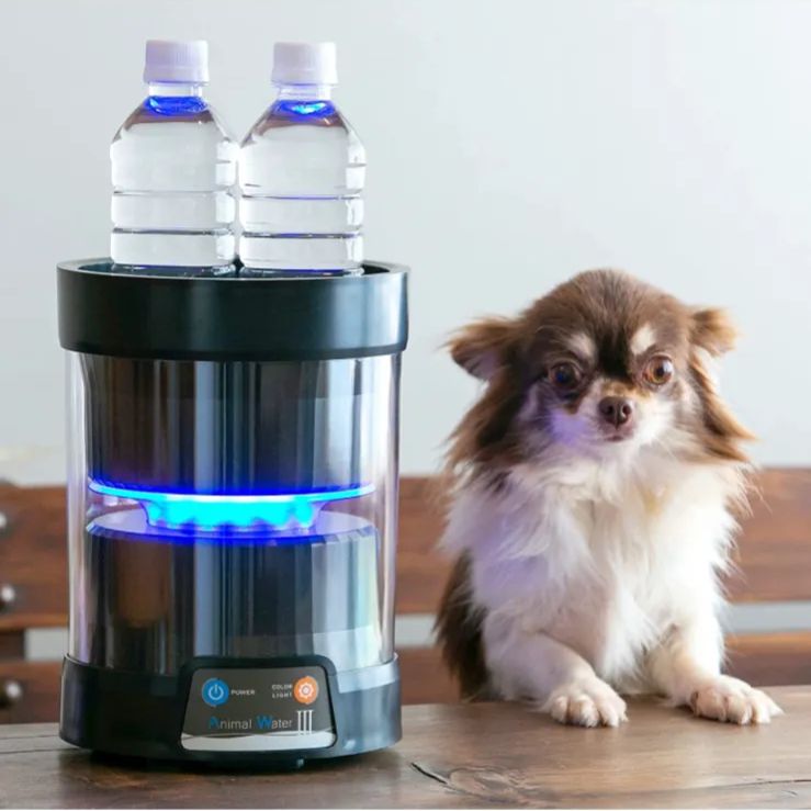 エマ・ブリッジウォーター【新品】鶏型陶器保存容器 青い水玉模様 エマ・ブリッジウォーター【新品】鶏型陶器保存容器 青い水玉模様