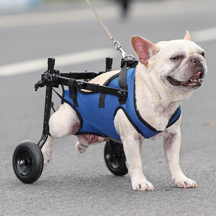 小型犬用車いす　犬用車椅子　犬の歩行器　歩行サポート　歩行補助ハーネス　車いす 犬用車椅子 歩行器 4輪 軽量 ペット用 リハビリ 介護 小型 中型