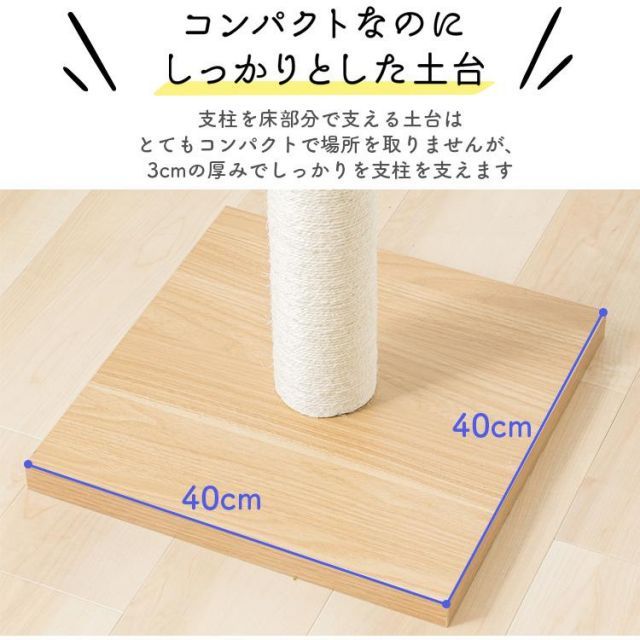 おしゃれ キャット