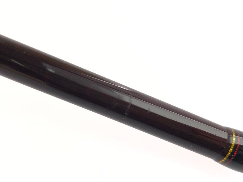 スピニングロッド ソルトロッド